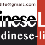 udinese life-logo