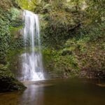 ALLA SCOPERTA DEL PARTICOLARISSIMO BIOTOPO DELL’ACQUA CADUTA, SITO NATURALISTICO UNICO DEL SUO GENERE: DOMENICA 17 SETTEMBRE LA NUOVA PROPOSTA DELLA RISERVA DEL LAGO DI CORNINO