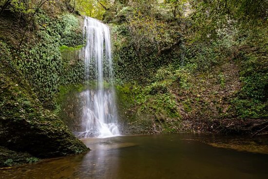 ALLA SCOPERTA DEL PARTICOLARISSIMO BIOTOPO DELL’ACQUA CADUTA, SITO NATURALISTICO UNICO DEL SUO GENERE: DOMENICA 17 SETTEMBRE LA NUOVA PROPOSTA DELLA RISERVA DEL LAGO DI CORNINO