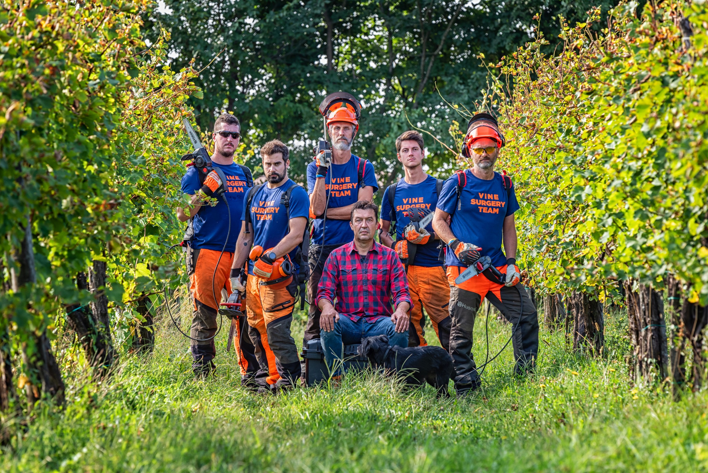 A scuola di dendrochirurgia per combattere il mal dell’escacon i VINE MASTER PRUNERS SIMONIT&SIRCH