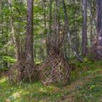 “Land Art & Radici”: quando l’arte incontra la natura