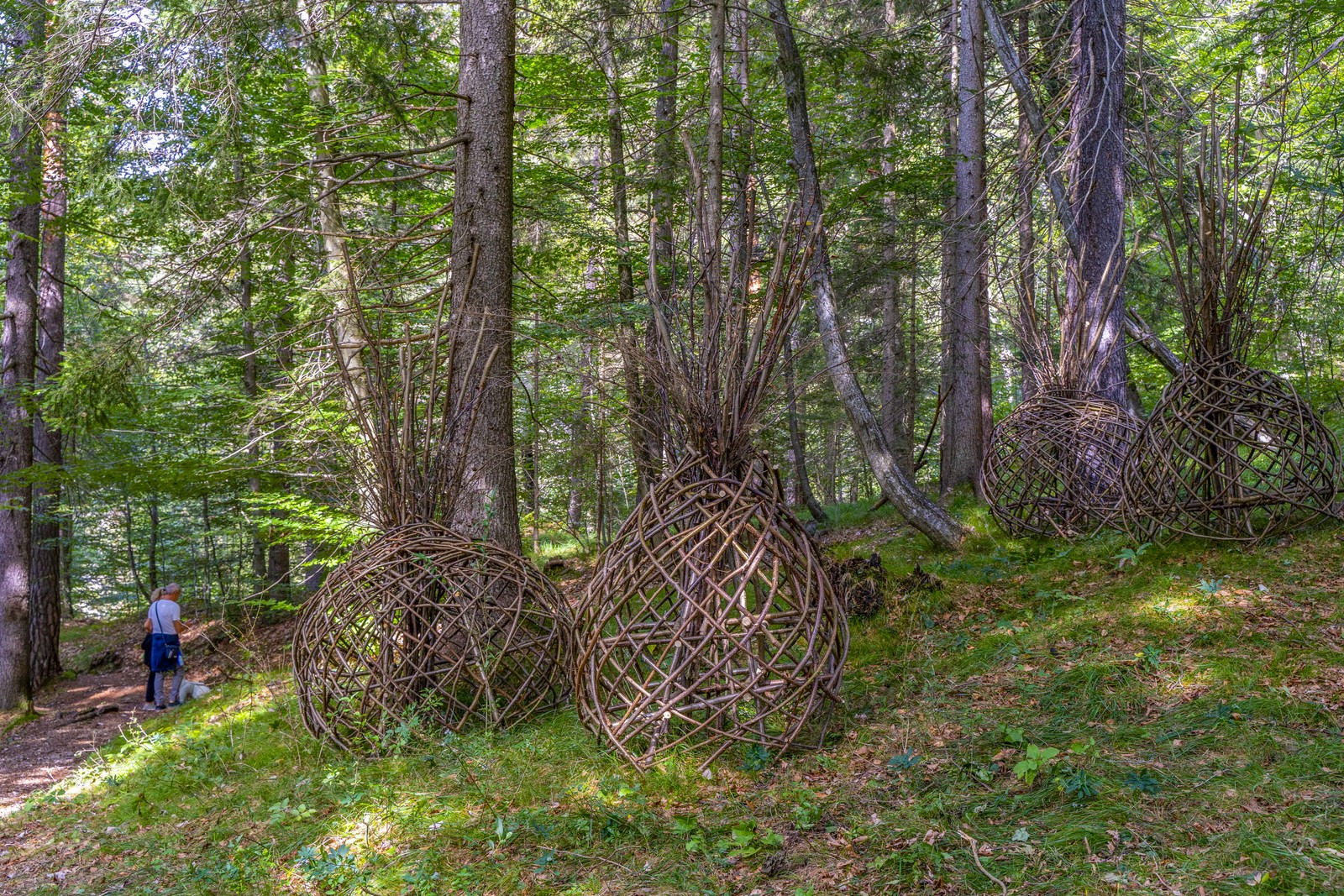 “Land Art & Radici”: quando l’arte incontra la natura