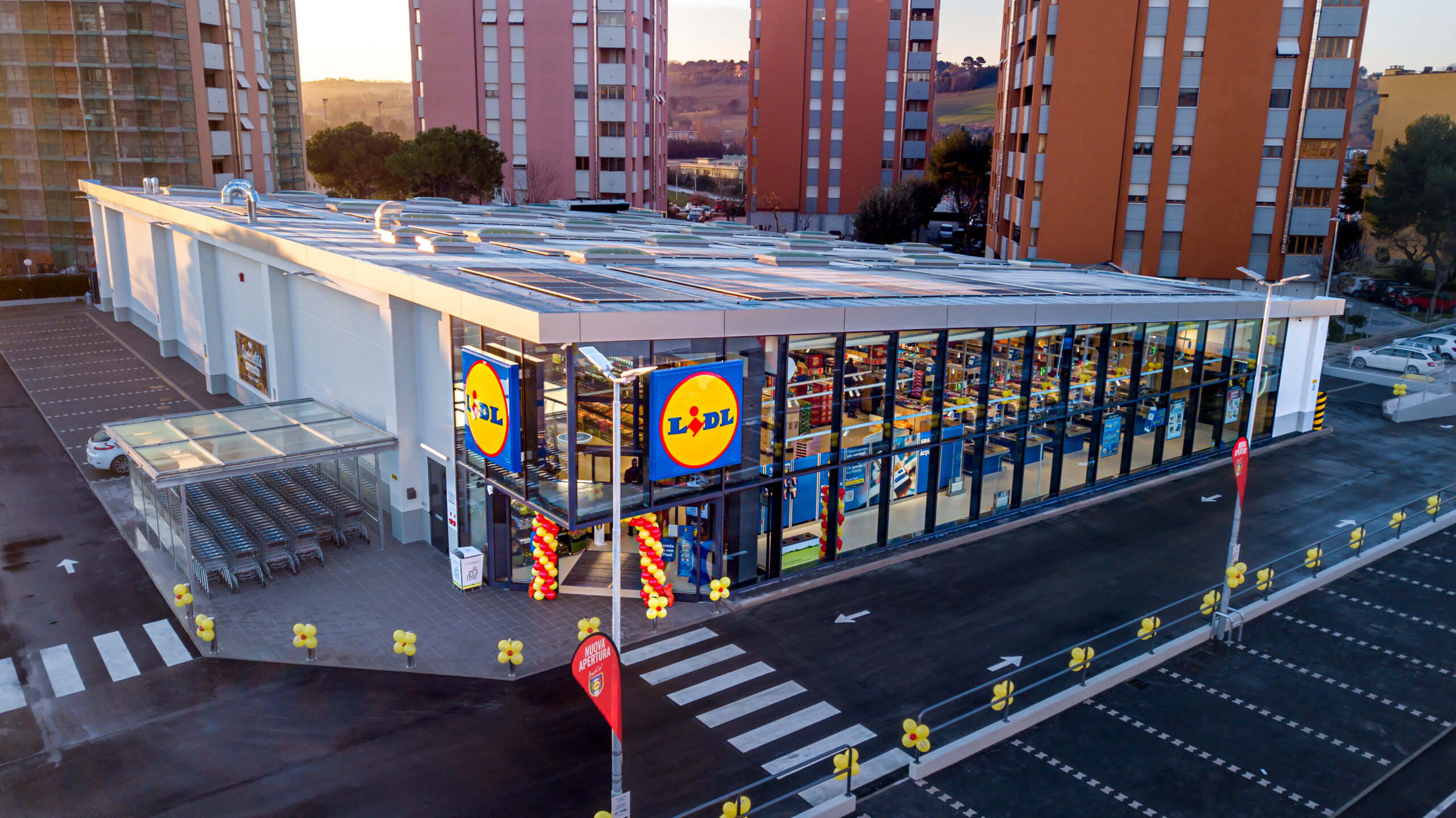 LIDL RICERCA 100 PERSONE DA INSERIRE NEI PUNTI VENDITA DEL FRIULI VENEZIA GIULIA